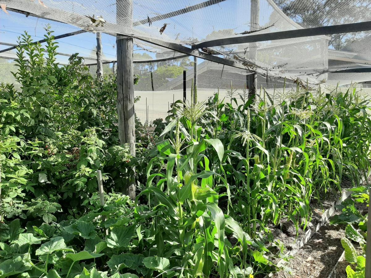 Spring Beach Garden Retreat 외부 사진